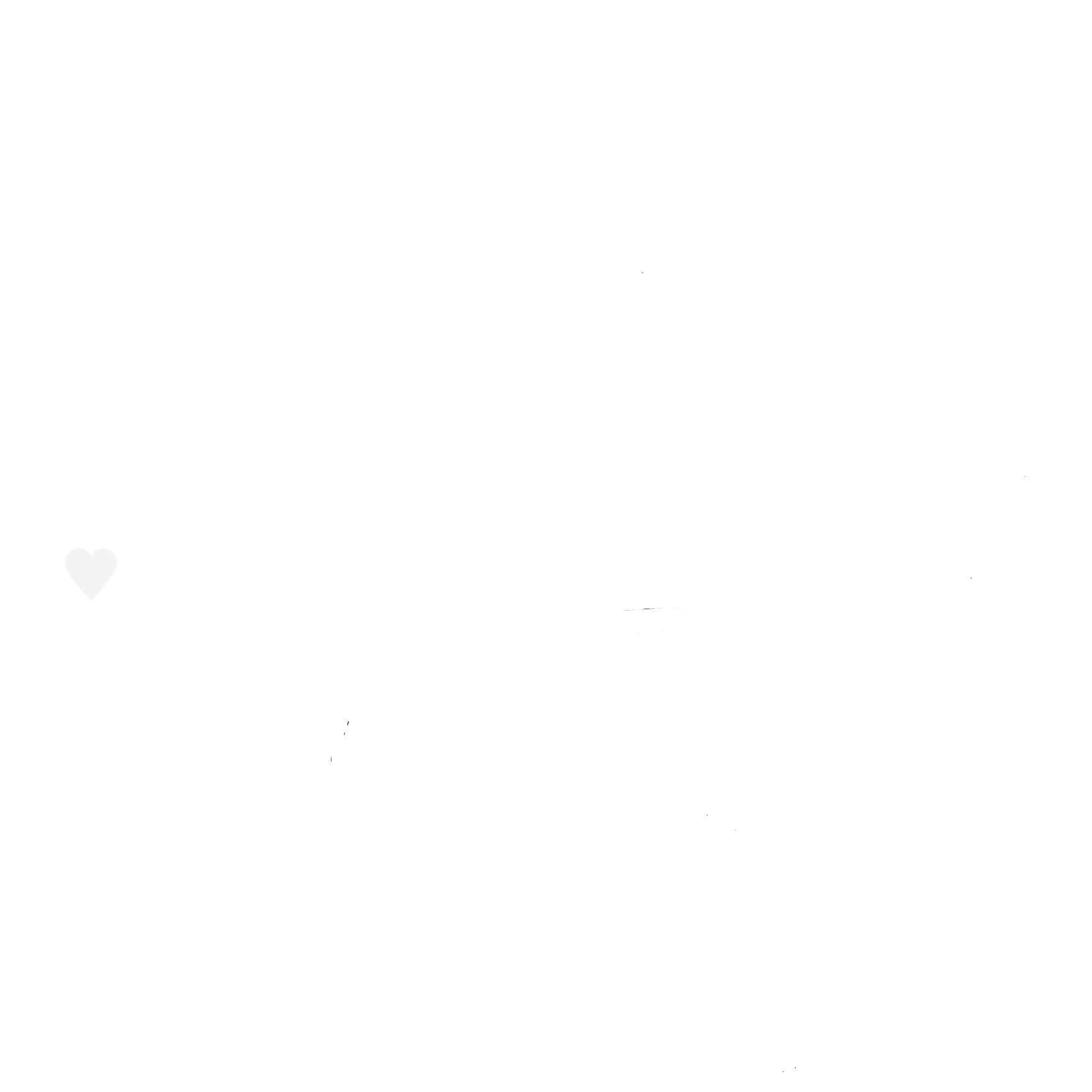 Gecertificeerd vakbekwaam houder van honden en katten