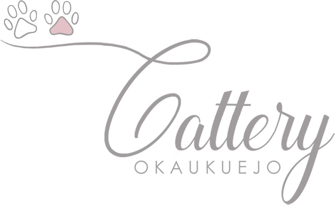 Cattery Okaukuejo