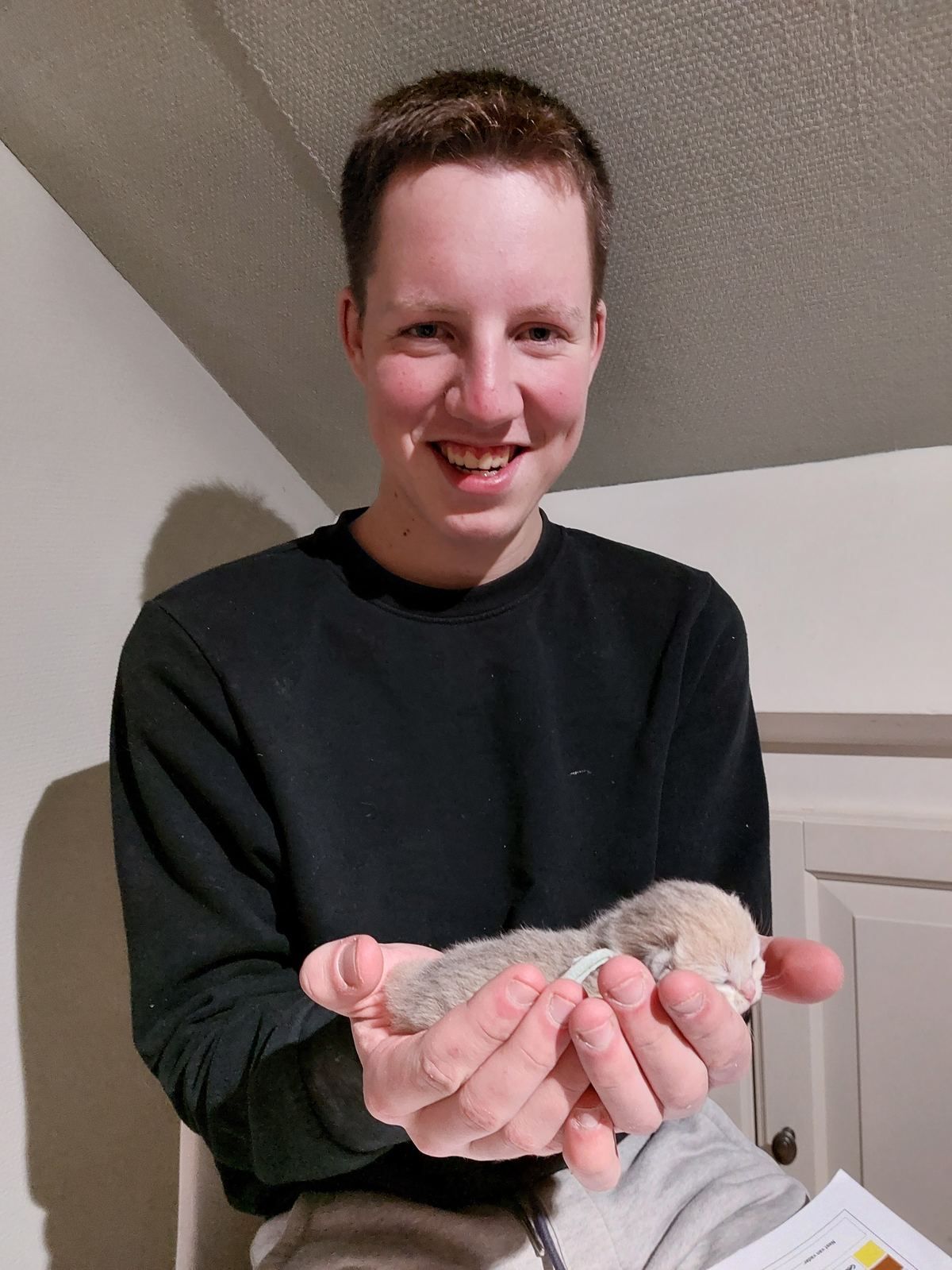 Eerste kitten op de foto