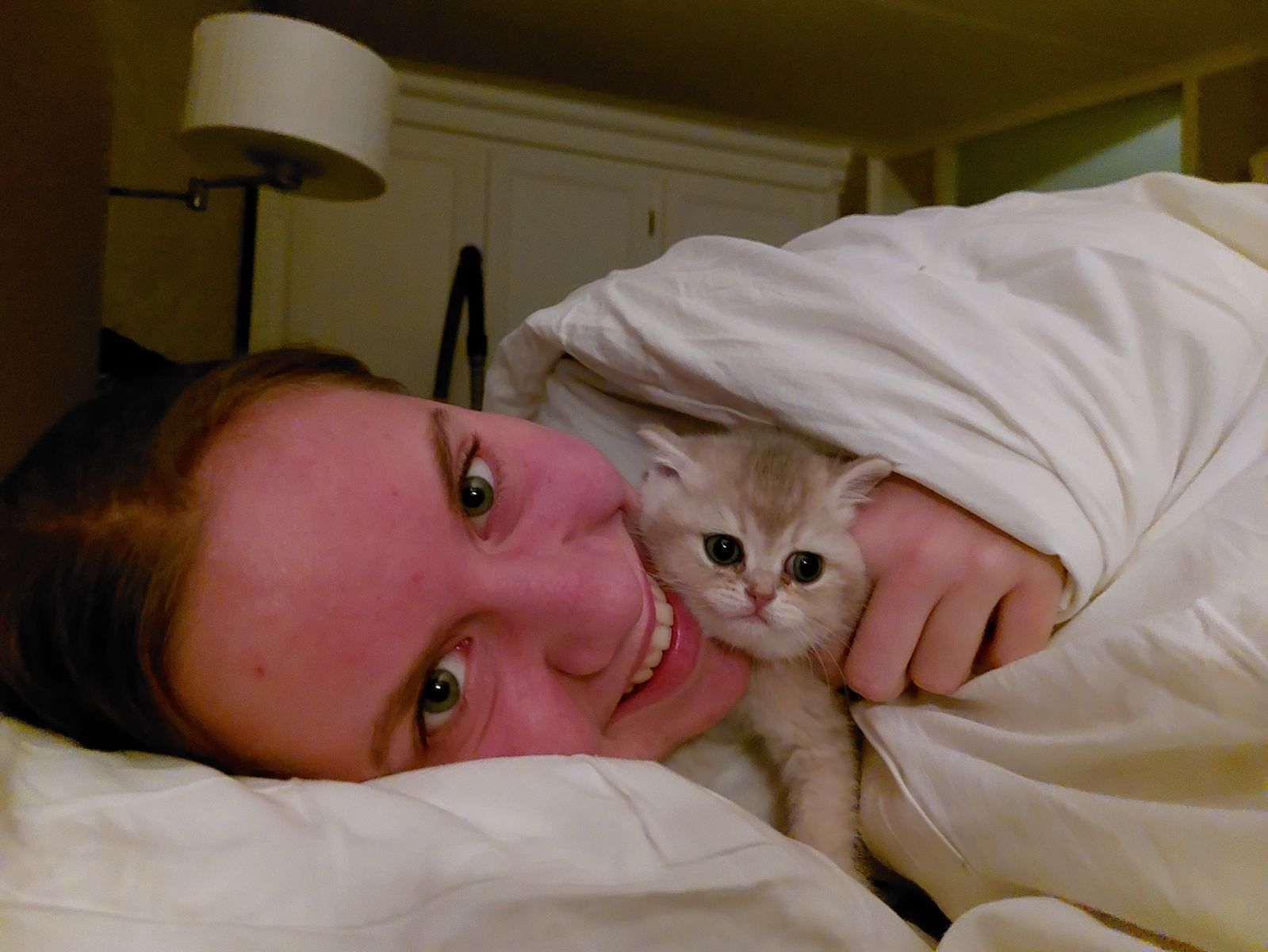 Kitten bij zijn nieuwe baasje
