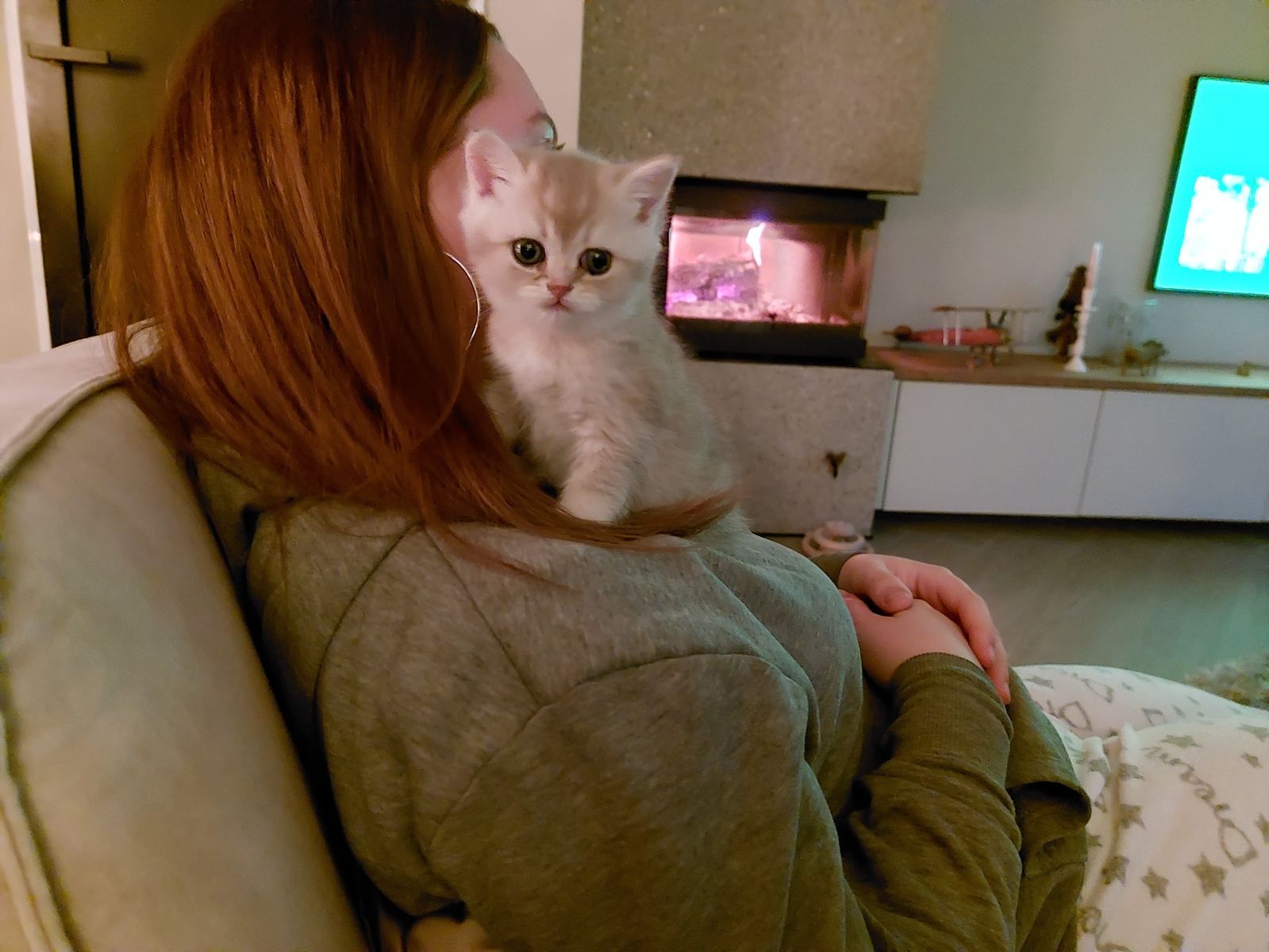 Kitten bij zijn nieuwe baasje