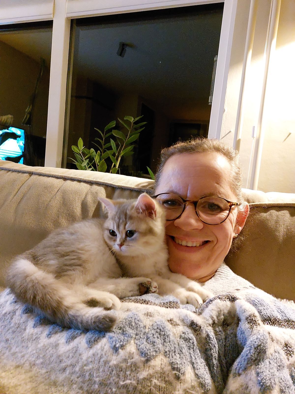 Kitten bij zijn nieuwe baasje