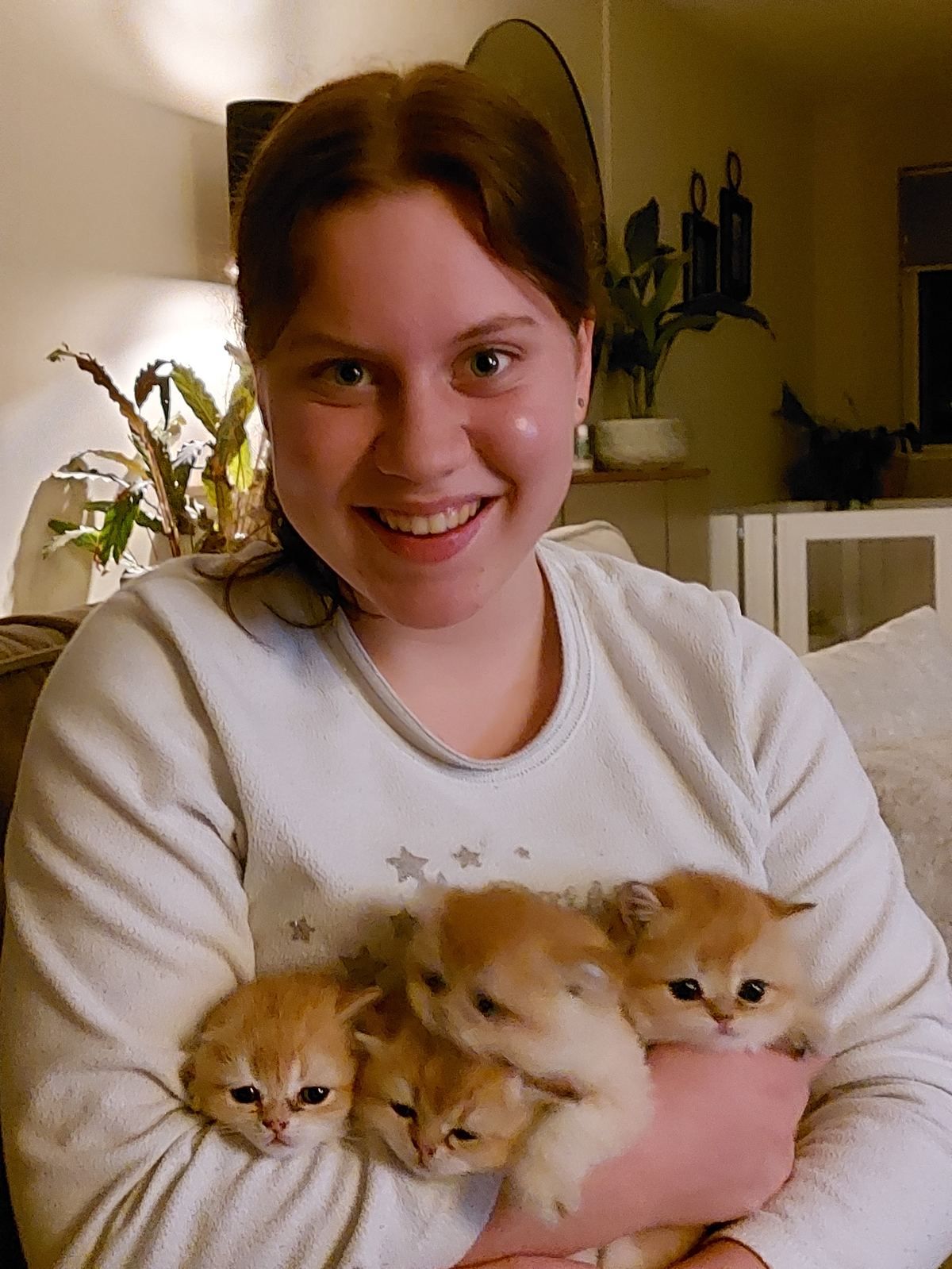 Kittens van het B-nest bij hun baasje