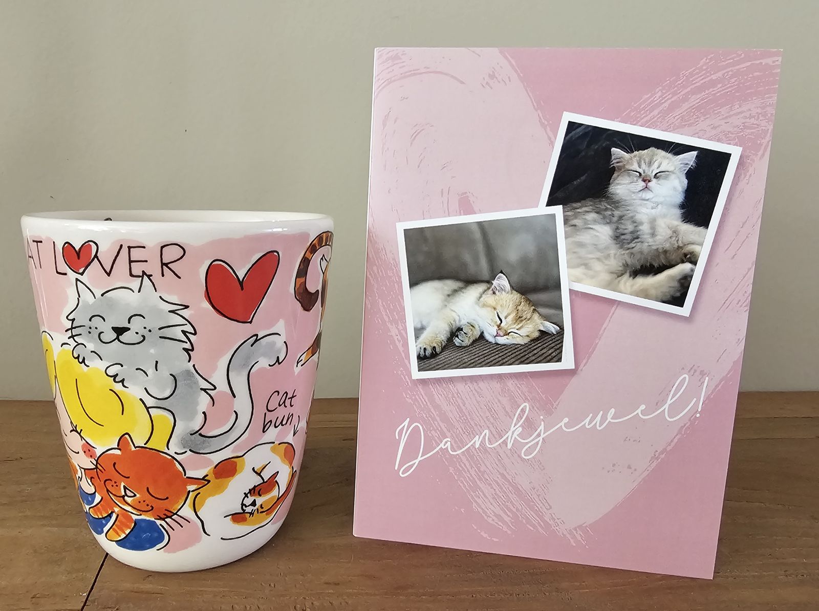 Kitten van het G-nest