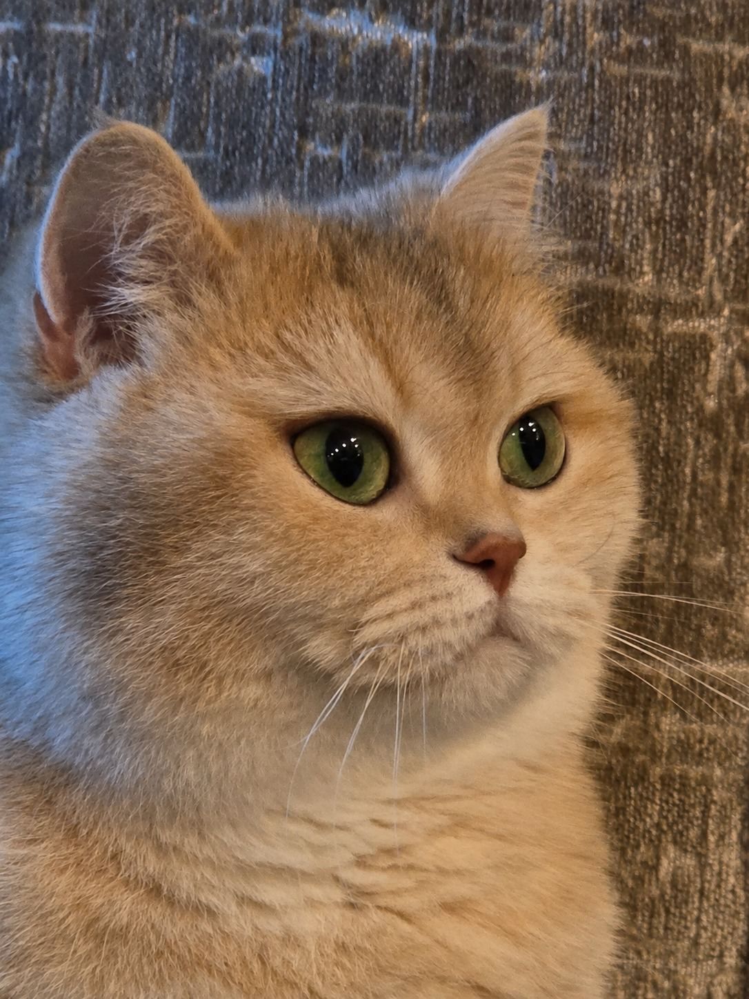Ella