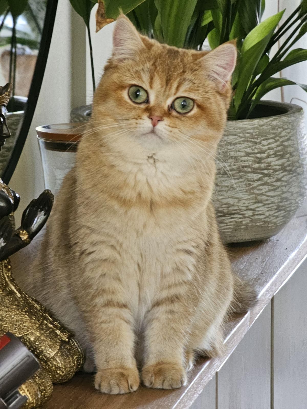 Éclaire